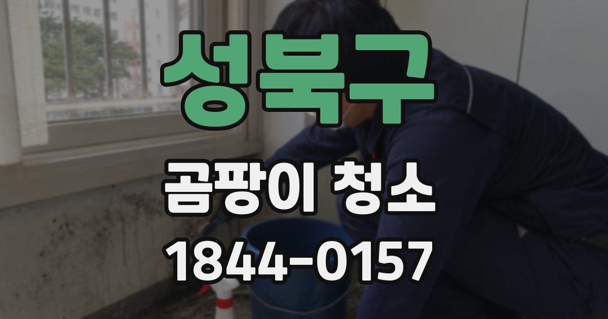 성북구 곰팡이 청소