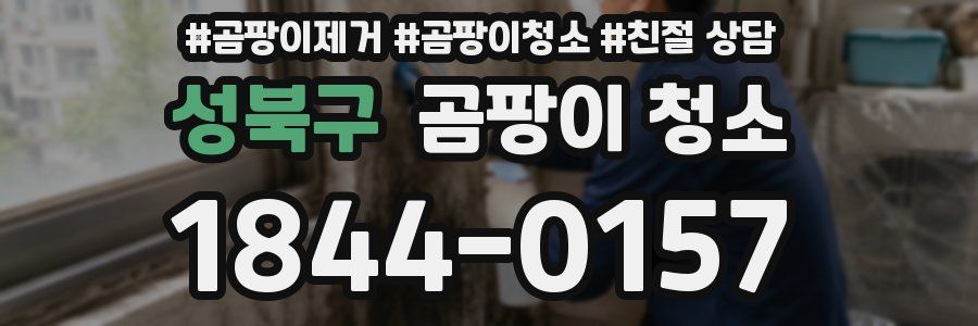 성북구 곰팡이 청소
