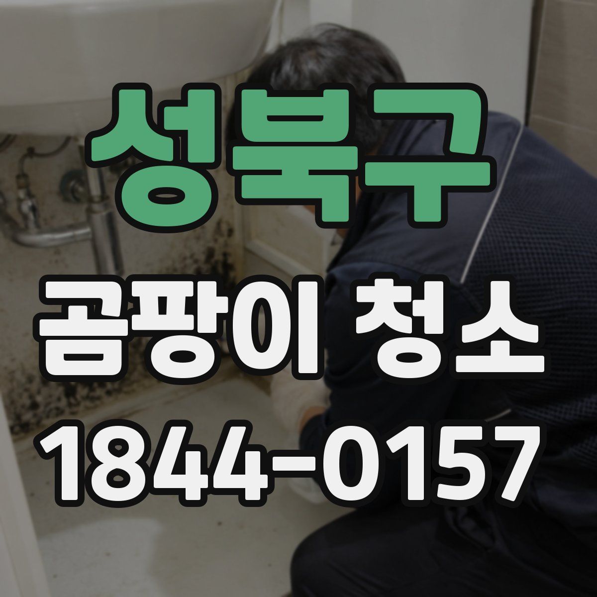 성북구 곰팡이 청소