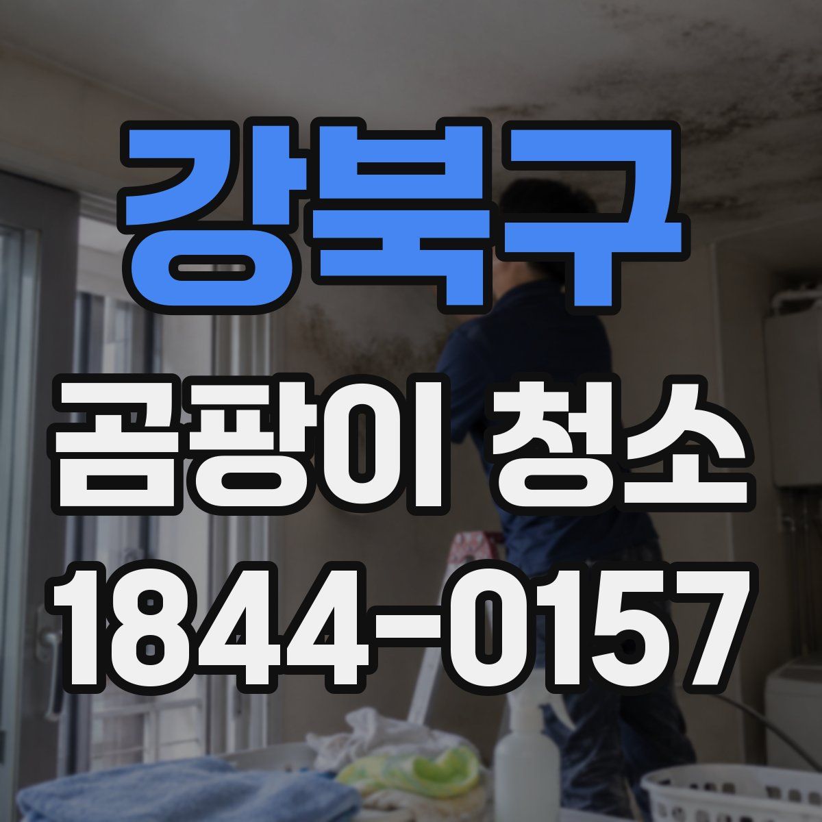 강북구 곰팡이 청소