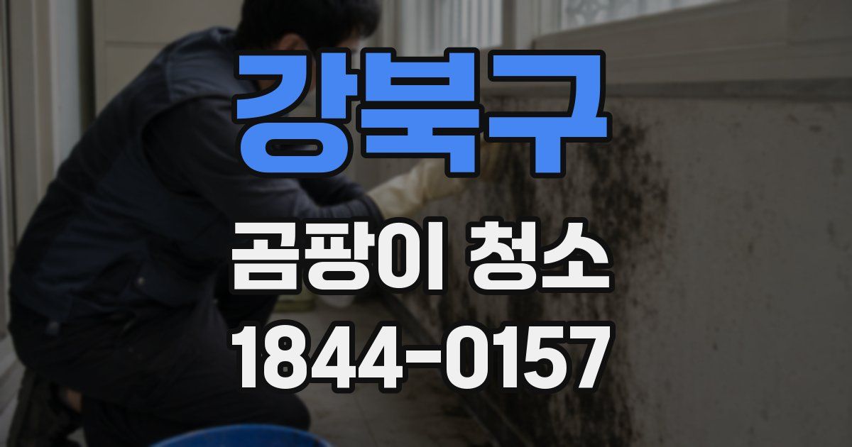 강북구 곰팡이 청소