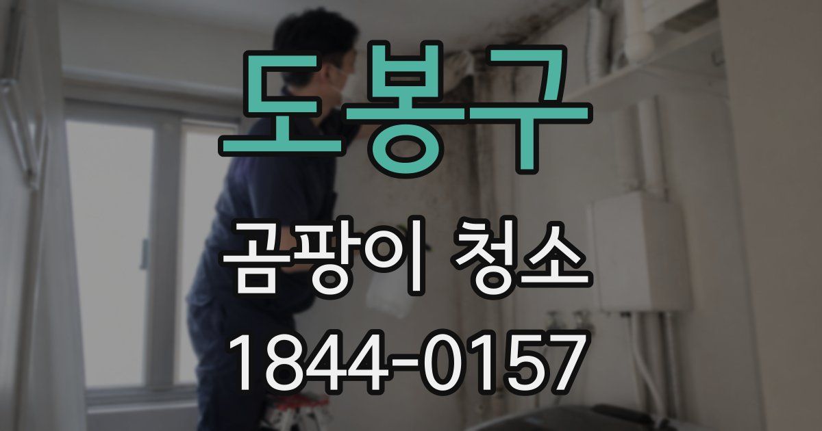 도봉구 곰팡이 청소