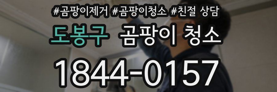 도봉구 곰팡이 청소