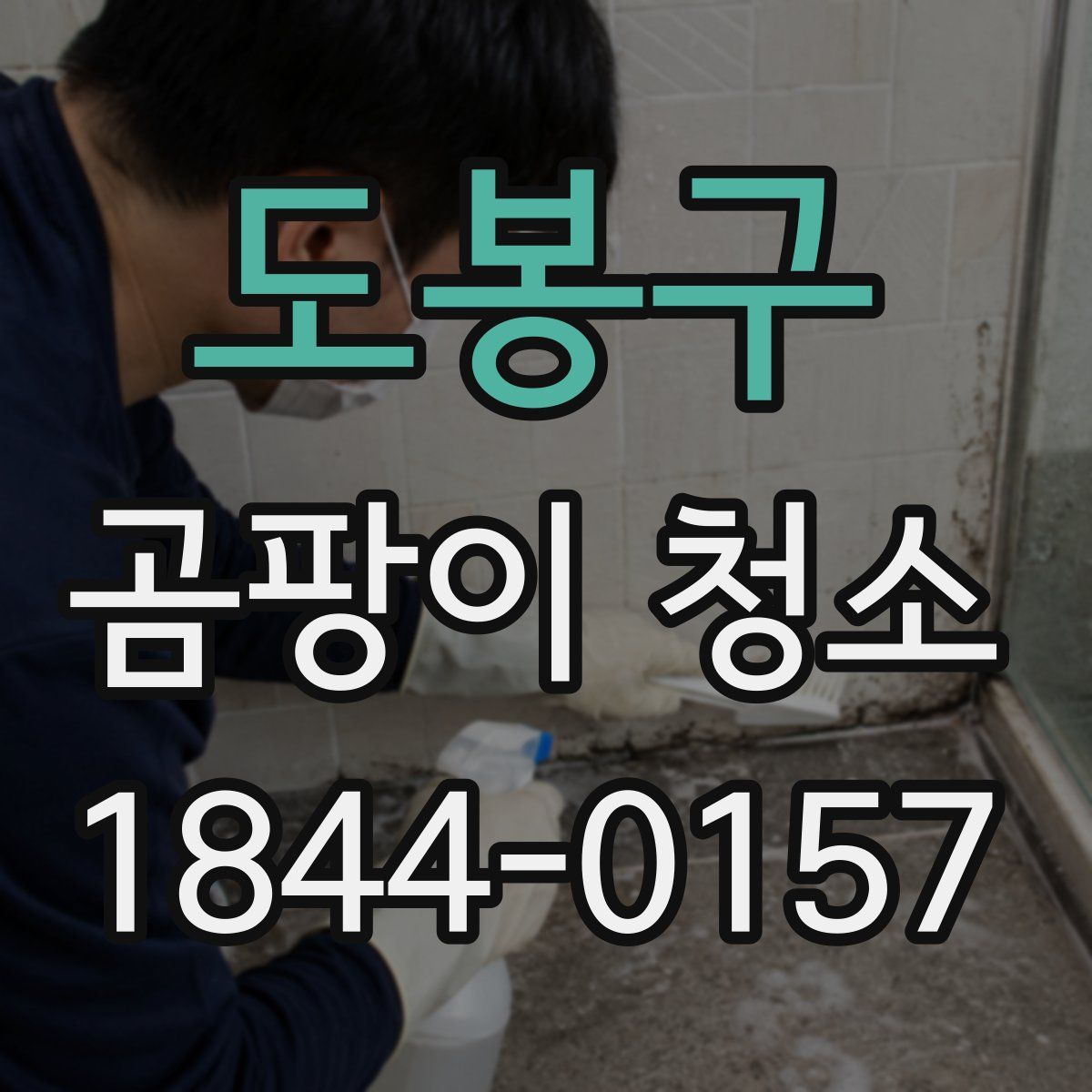 도봉구 곰팡이 청소