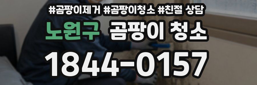 노원구 곰팡이 청소