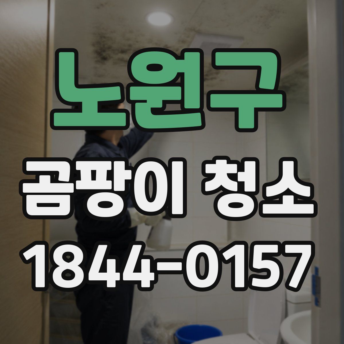 노원구 곰팡이 청소