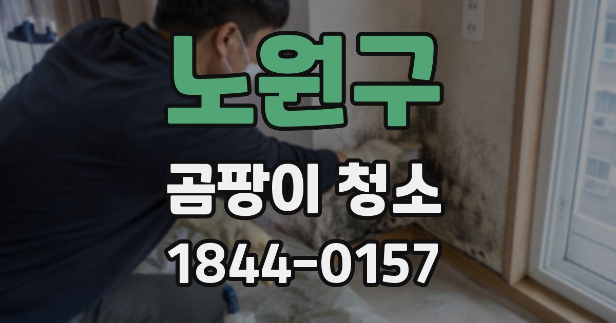 노원구 곰팡이 청소