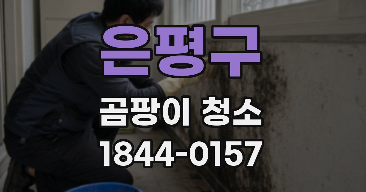 은평구 곰팡이 청소