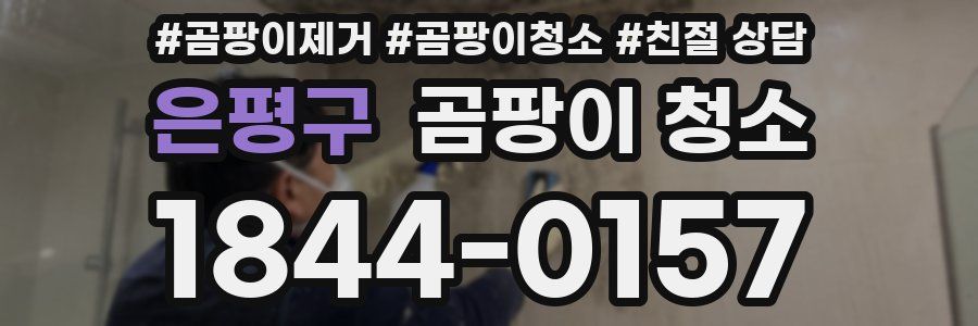 은평구 곰팡이 청소