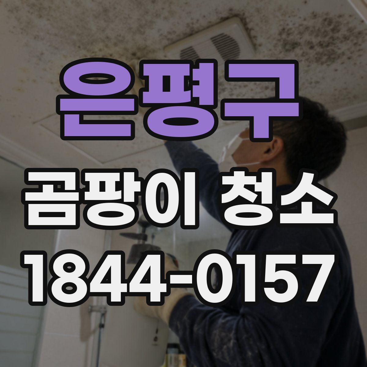 은평구 곰팡이 청소