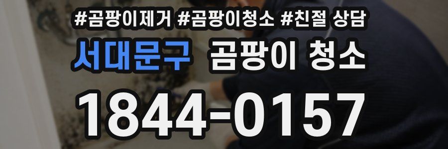 서대문구 곰팡이 청소