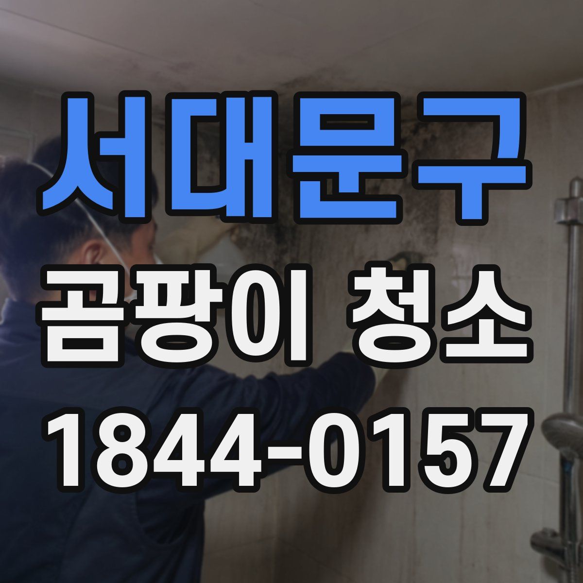 서대문구 곰팡이 청소