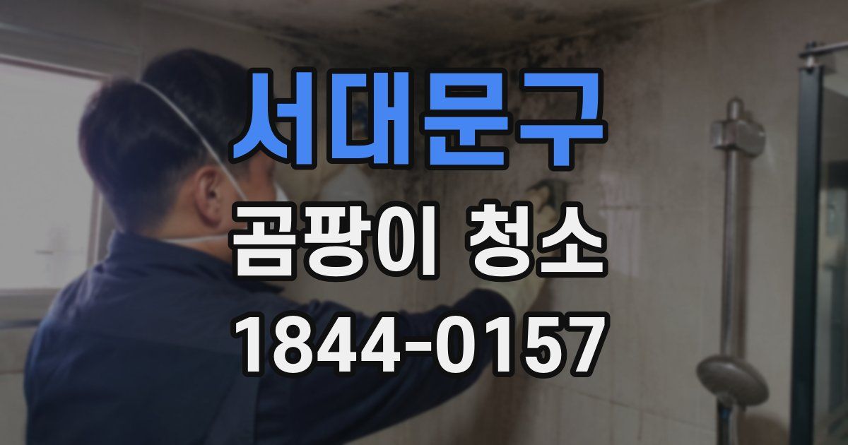 서대문구 곰팡이 청소