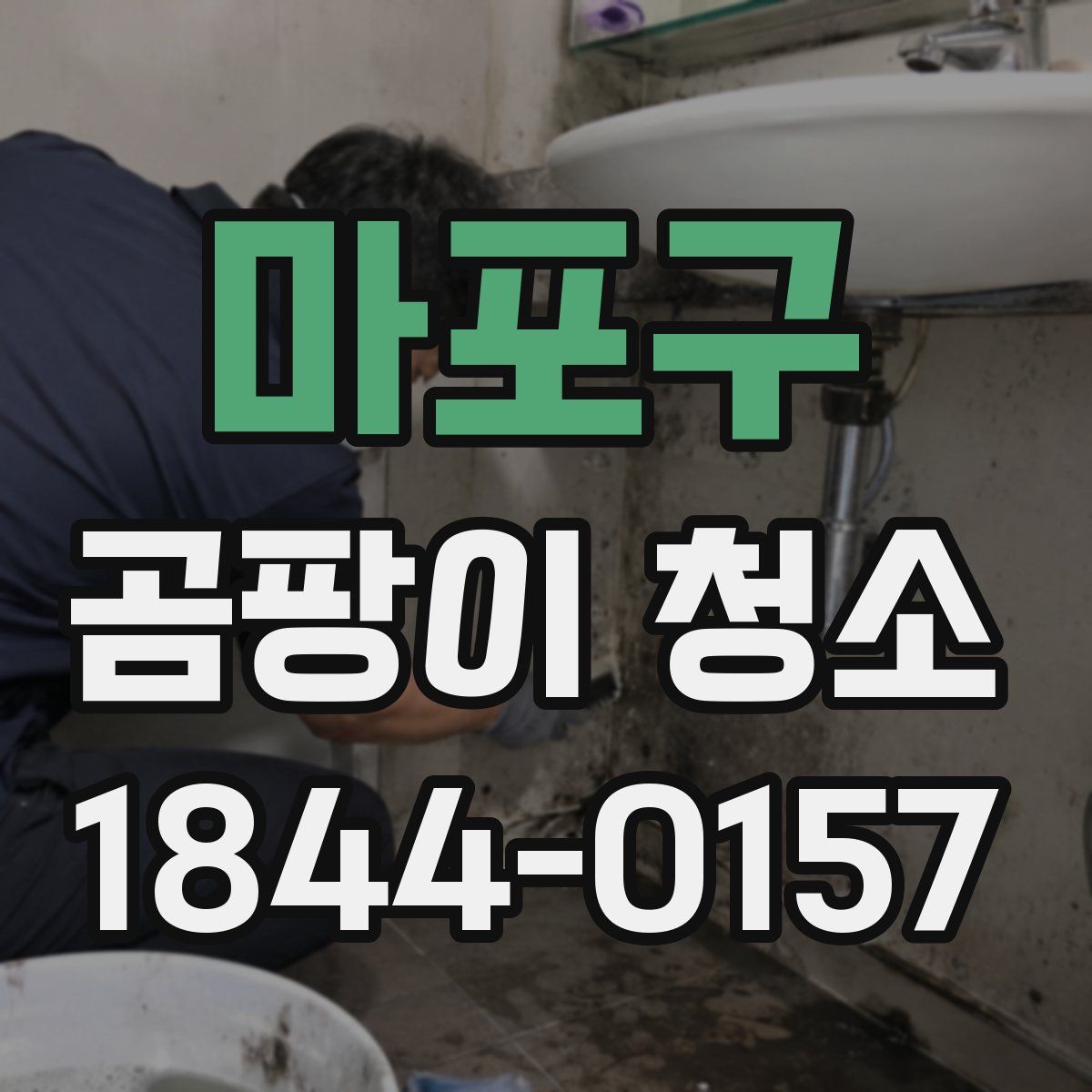 마포구 곰팡이 청소
