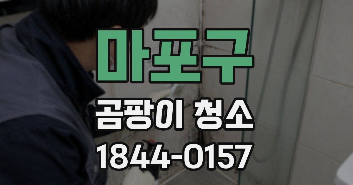마포구 곰팡이 청소