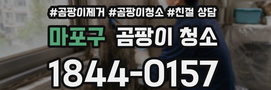 마포구 곰팡이 청소