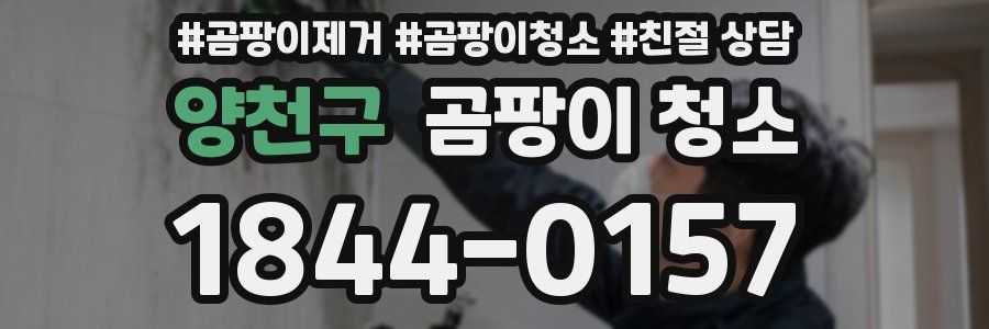 양천구 곰팡이 청소