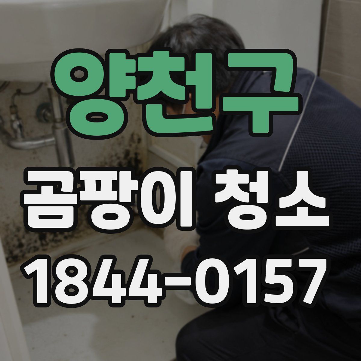 양천구 곰팡이 청소
