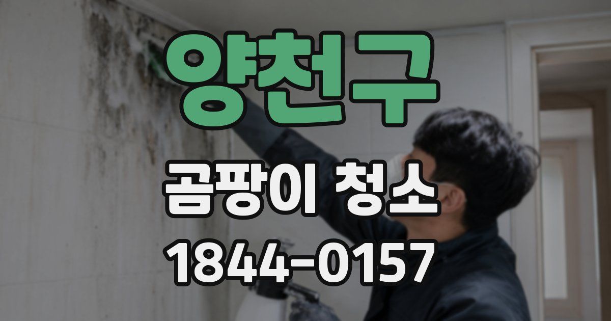 양천구 곰팡이 청소