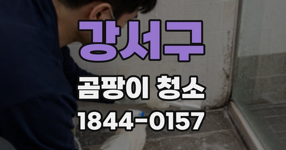 강서구 곰팡이 청소