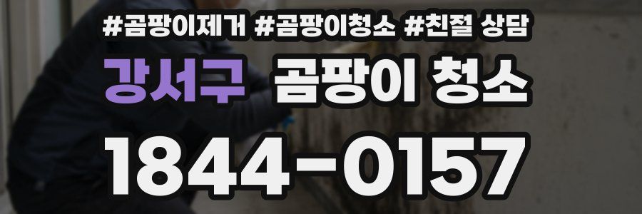 강서구 곰팡이 청소