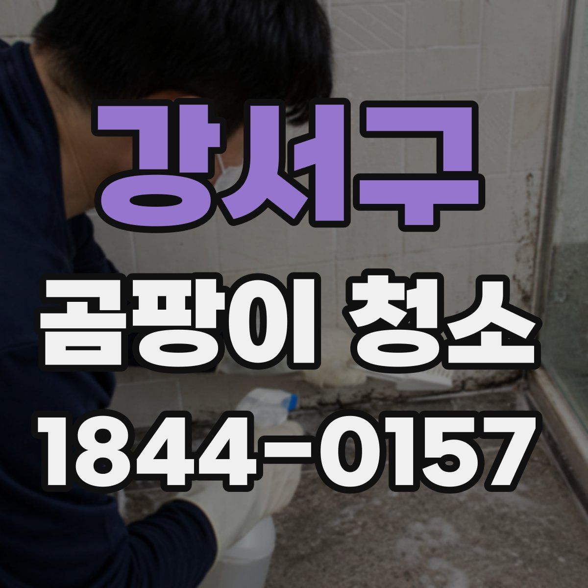 강서구 곰팡이 청소