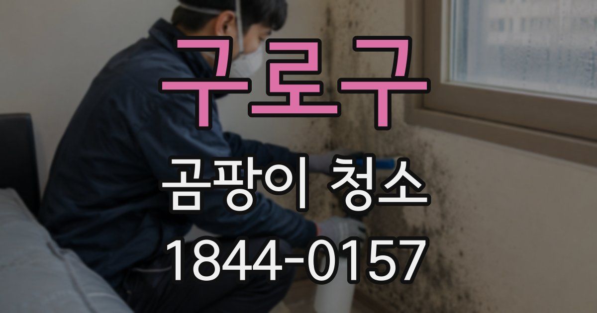 구로구 곰팡이 청소