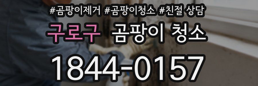 구로구 곰팡이 청소