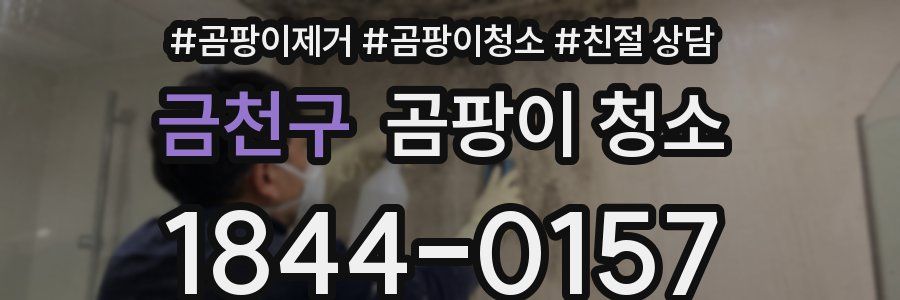 금천구 곰팡이 청소