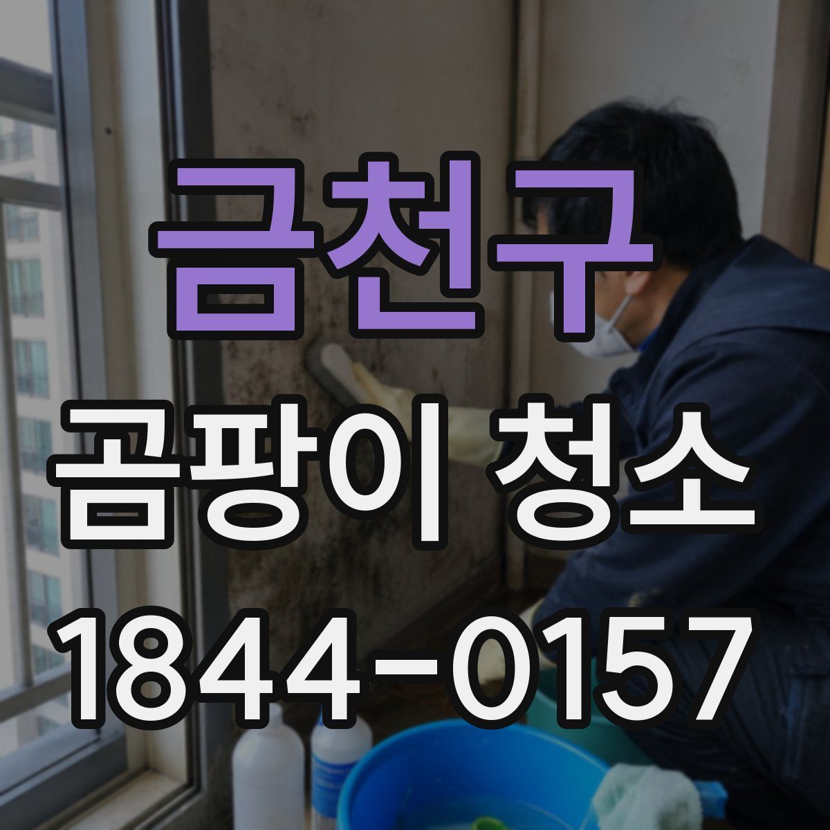 금천구 곰팡이 청소