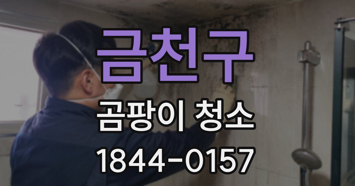 금천구 곰팡이 청소
