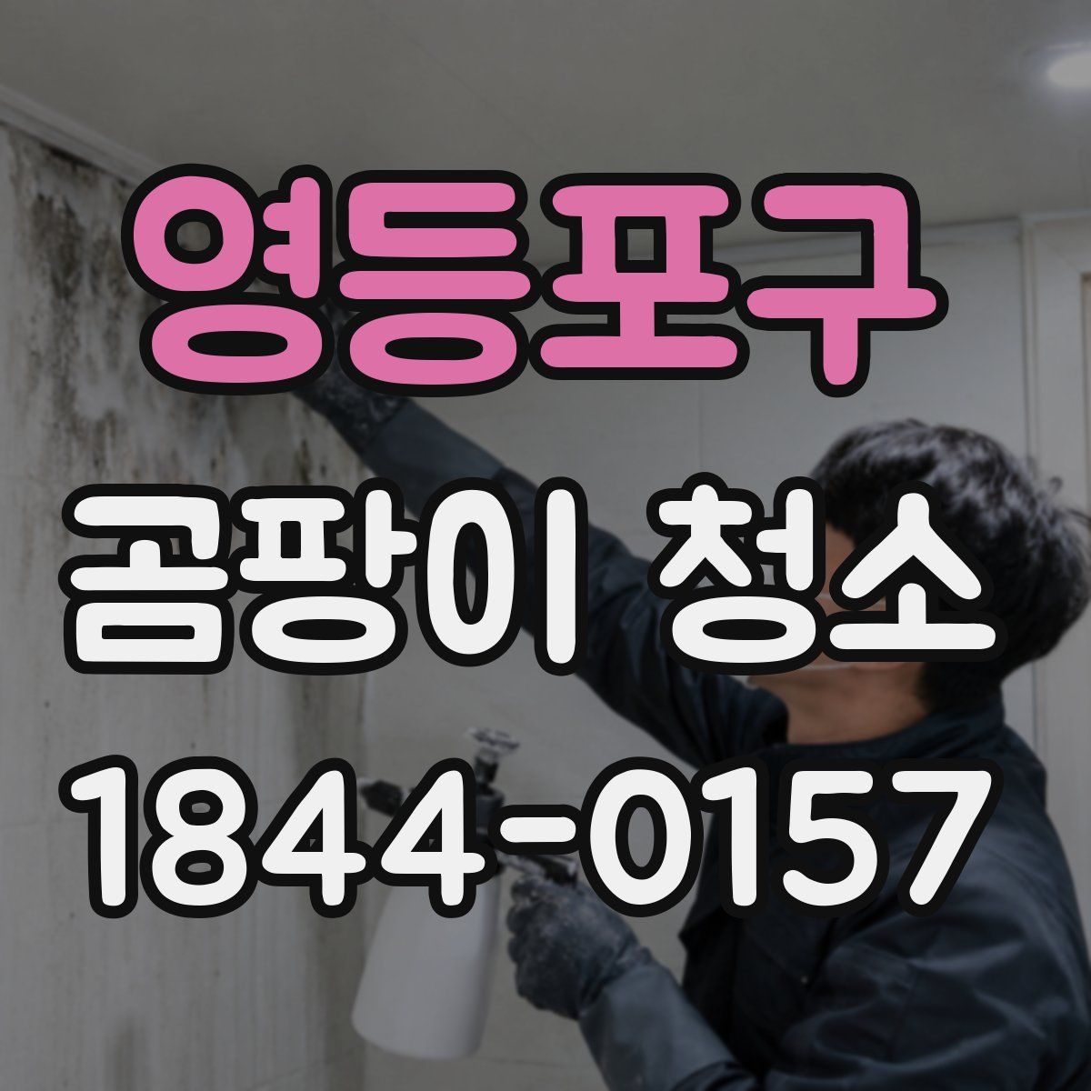 영등포구 곰팡이 청소