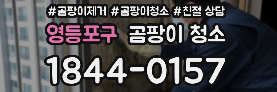 영등포구 곰팡이 청소