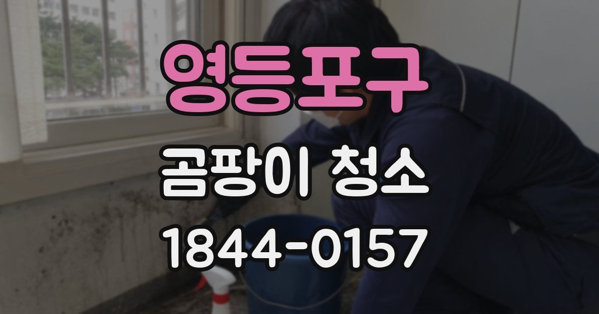 영등포구 곰팡이 청소