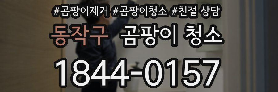 동작구 곰팡이 청소