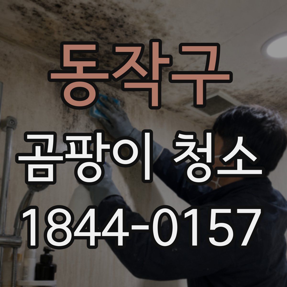 동작구 곰팡이 청소
