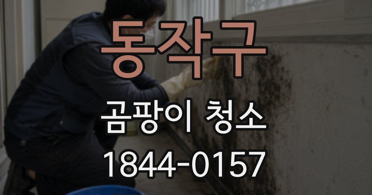 동작구 곰팡이 청소