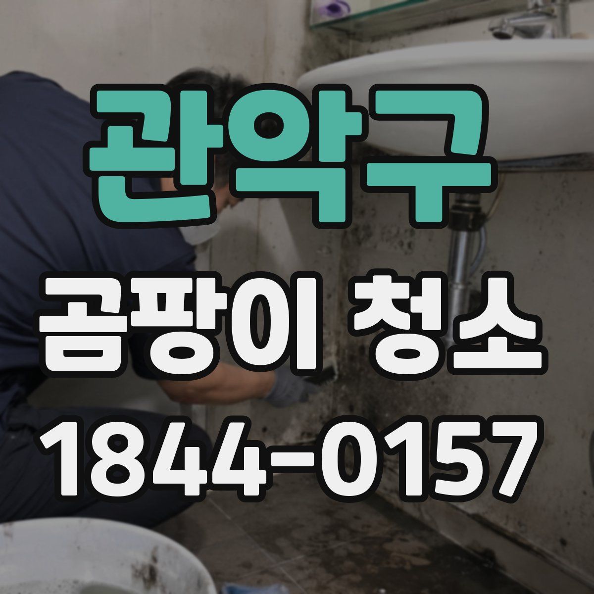 관악구 곰팡이 청소