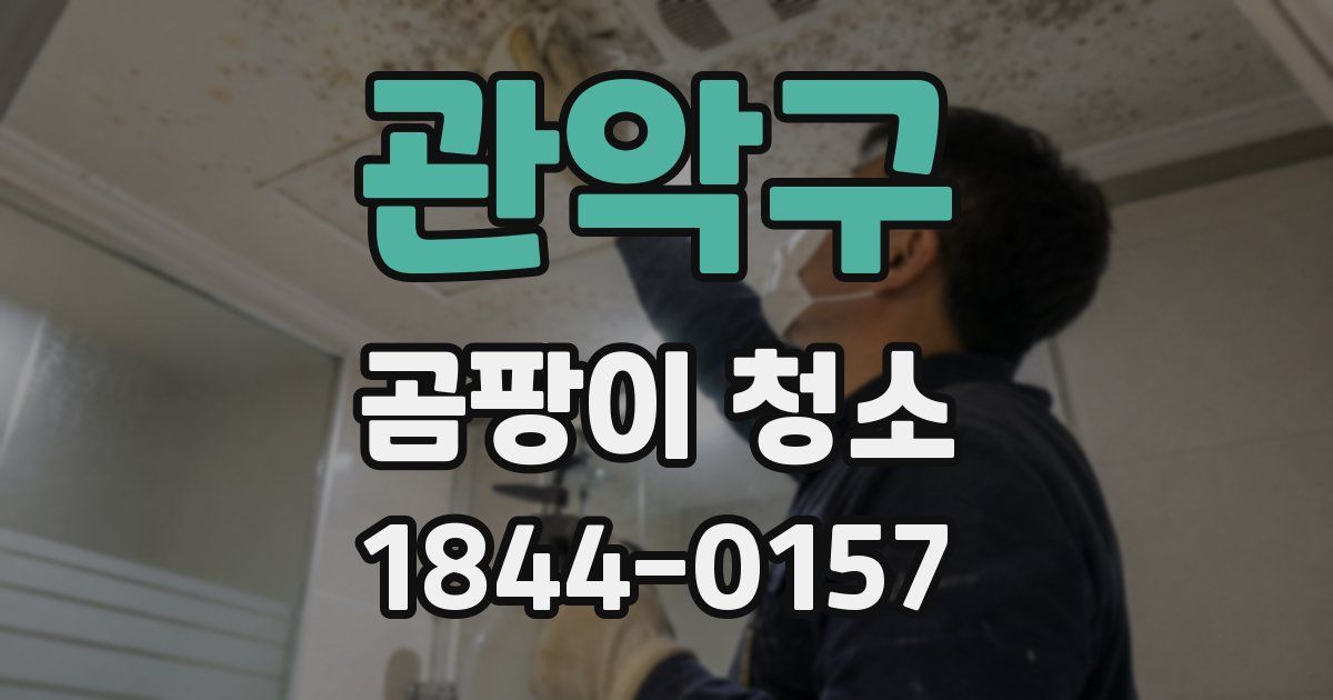 관악구 곰팡이 청소