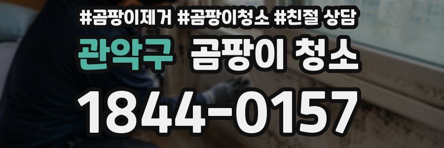 관악구 곰팡이 청소