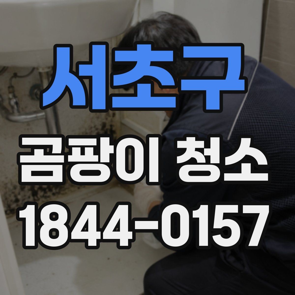 서초구 곰팡이 청소 후 습기 제거가 중요한 이유