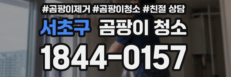 서초구 곰팡이 청소