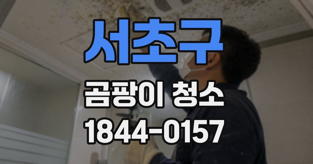 서초구 곰팡이 청소