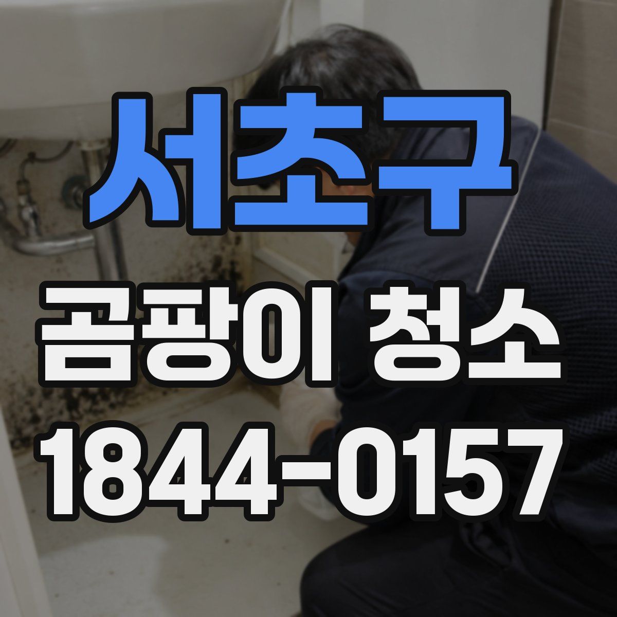 서초구 곰팡이 청소