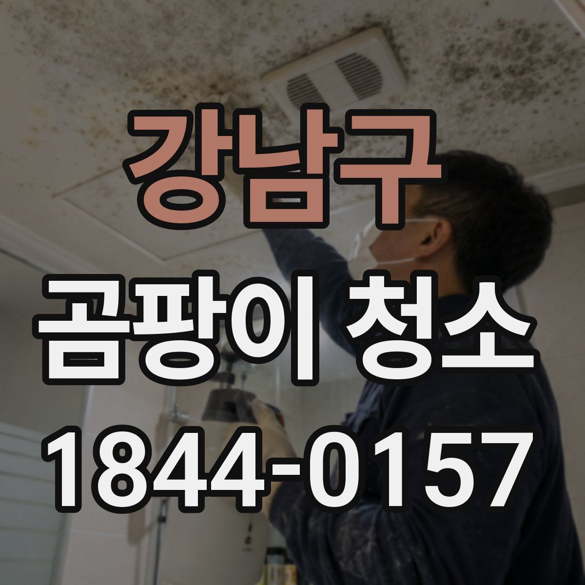 강남구 곰팡이 청소