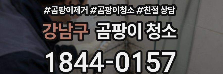 강남구 곰팡이 청소