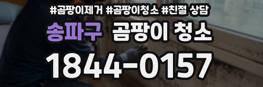 송파구 곰팡이 청소