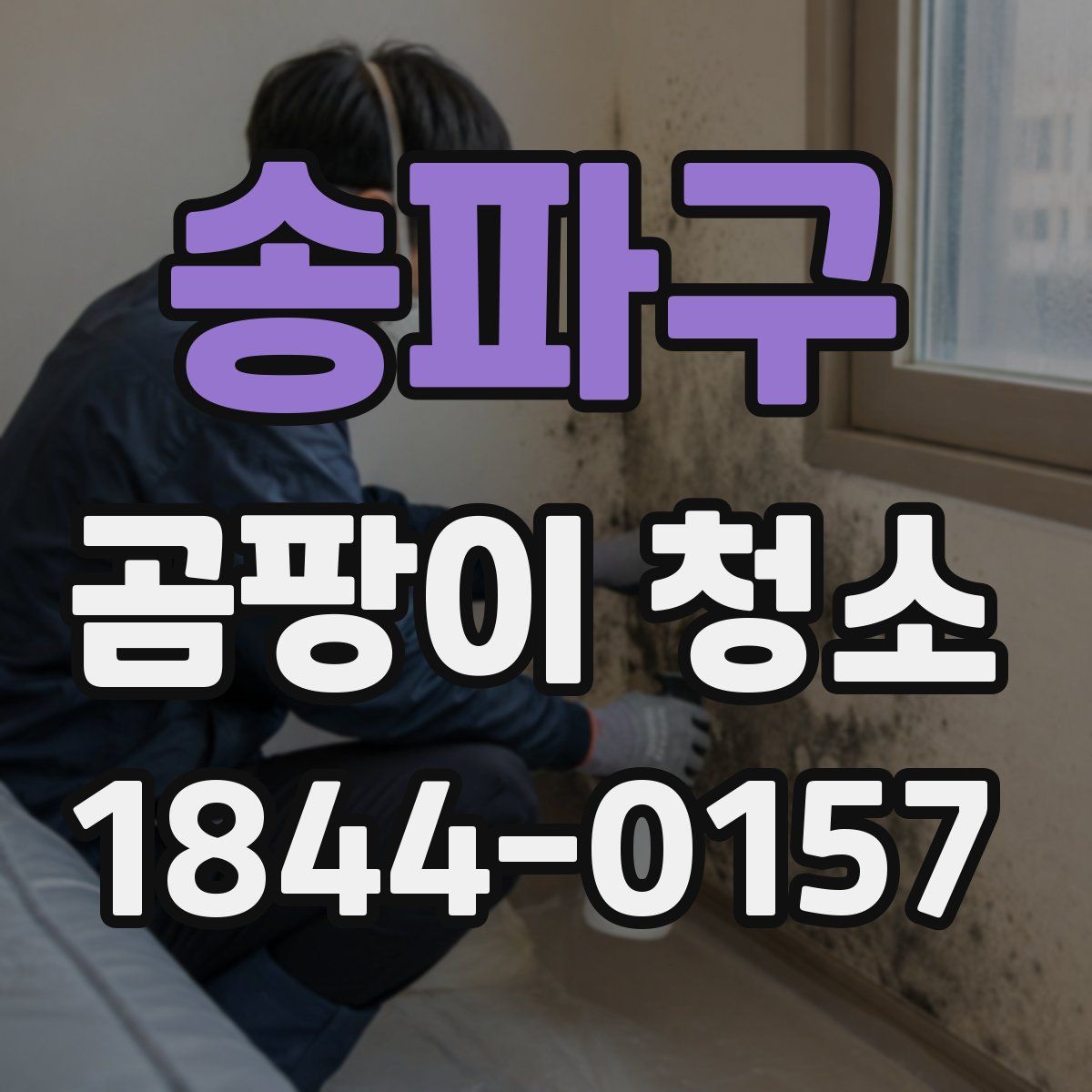 송파구 곰팡이 청소