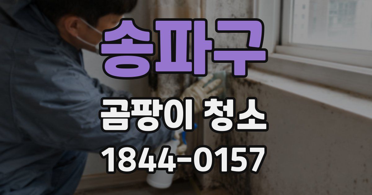 송파구 곰팡이 청소