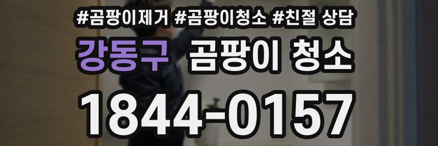 강동구 곰팡이 청소